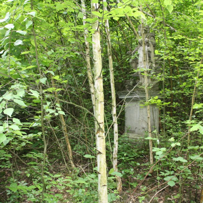 Statue hinter Blattwerk