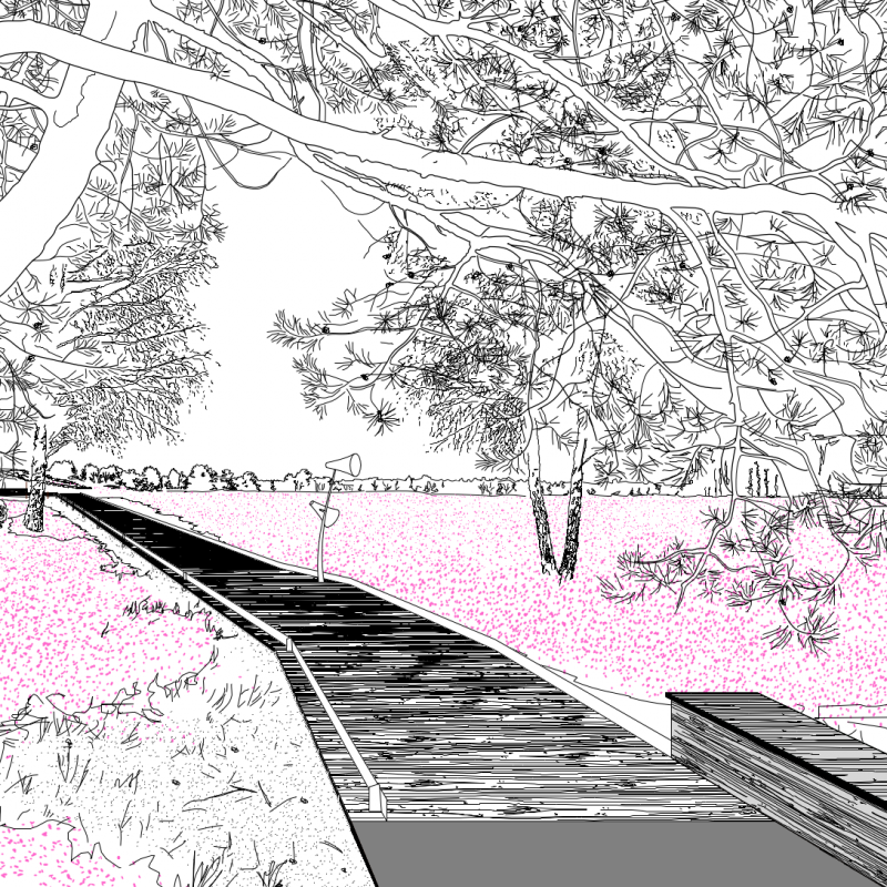 Zeichnung eines Holzstegs mit Sitzgelegenheit unter einem Baum in der Heide