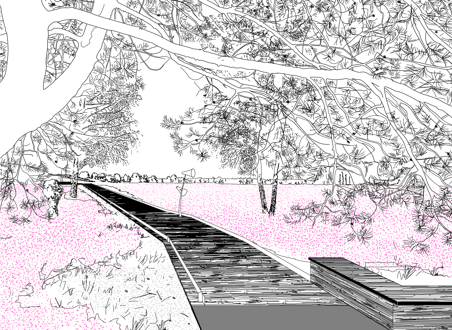 Zeichnung eines Holzstegs mit Sitzgelegenheit unter einem Baum in der Heide